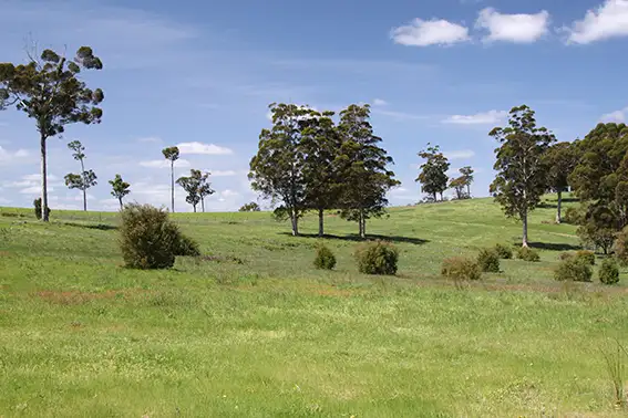 Main view of Homely rural property listing, Lot 108 Wetherall Road, Quinninup WA 6258