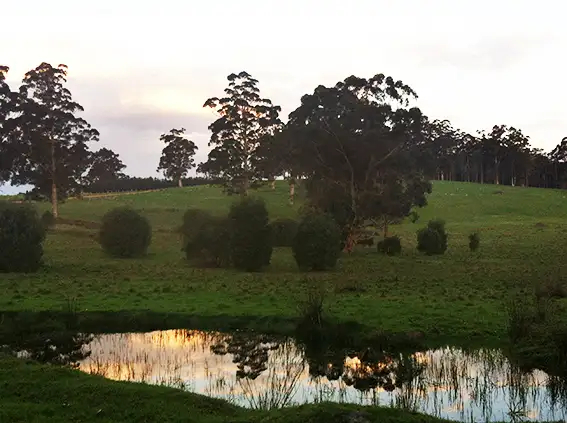 Third view of Homely rural property listing, Lot 108 Wetherall Road, Quinninup WA 6258