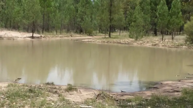 Main view of Homely rural property listing, 199 Billabong Lane, Wieambilla QLD 4413