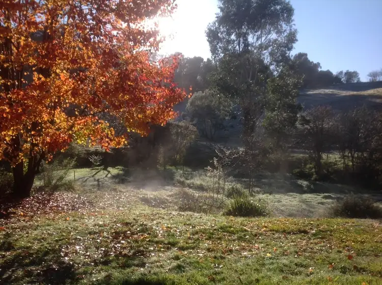 Main view of Homely rural property listing, 12 Mineral Lane, Yackandandah VIC 3749