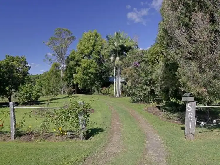 Fifth view of Homely rural property listing, 561 Left Bank Road, Mullumbimby NSW 2482
