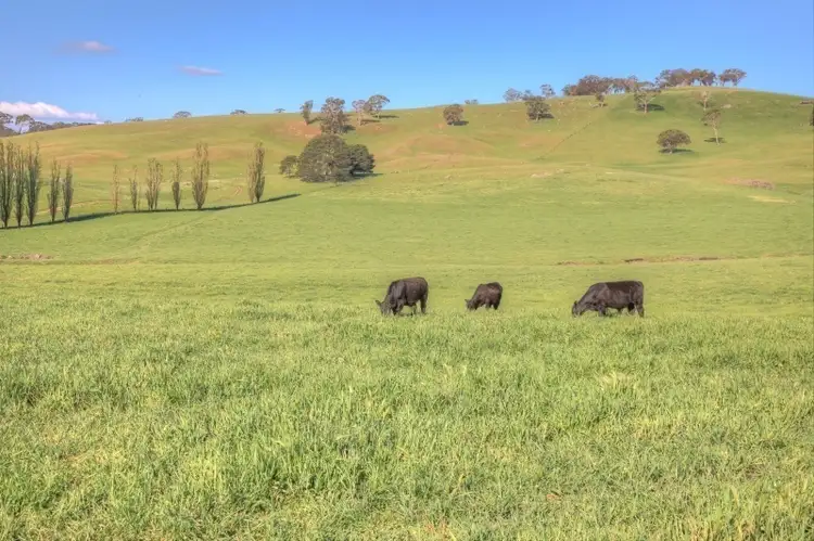 Second view of Homely rural property listing, 1264 Acres, Guyong NSW 2798
