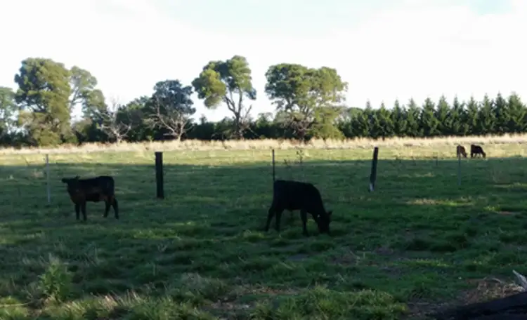 Fourth view of Homely land listing, 389 Sebastopol Road, Kyneton VIC 3444