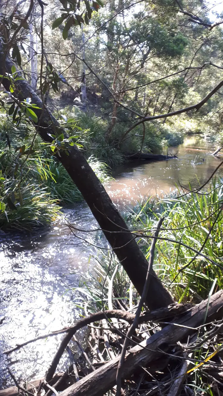 Seventh view of Homely rural property listing, 1348D Old Princes Highway, Batemans Bay NSW 2536