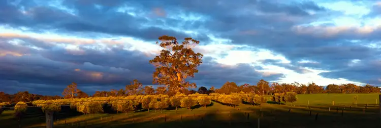 Sixth view of Homely rural property listing, Address available on request