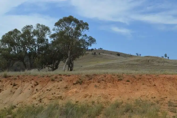 Second view of Homely rural property listing, 7448 Hume Hwy, Coolac NSW 2727