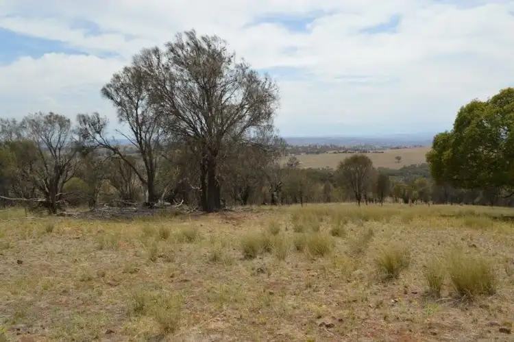 Sixth view of Homely rural property listing, 7448 Hume Hwy, Coolac NSW 2727