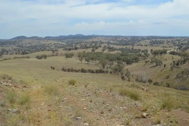 Seventh view of Homely rural property listing, 7448 Hume Hwy, Coolac NSW 2727