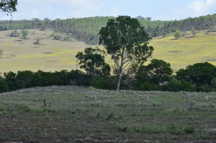 Main view of Homely land listing, Lot 1 Mount Lindesay Road, Legume NSW 2476