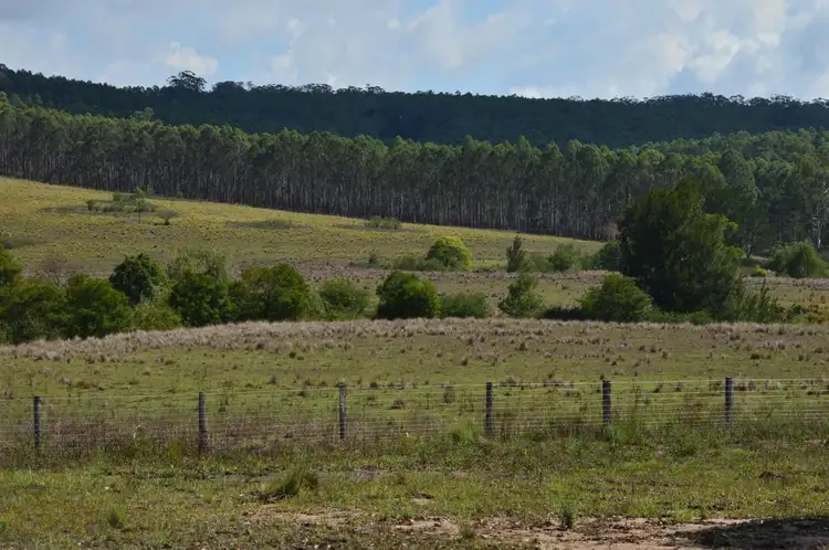 Second view of Homely land listing, Lot 1 Mount Lindesay Road, Legume NSW 2476
