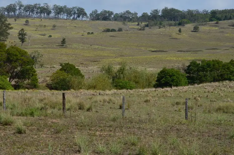 Third view of Homely land listing, Lot 1 Mount Lindesay Road, Legume NSW 2476