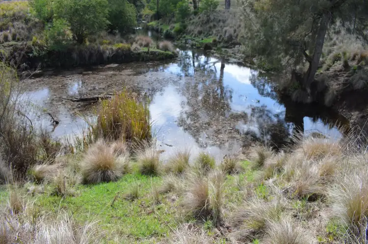 Fourth view of Homely land listing, Lot 1 Mount Lindesay Road, Legume NSW 2476