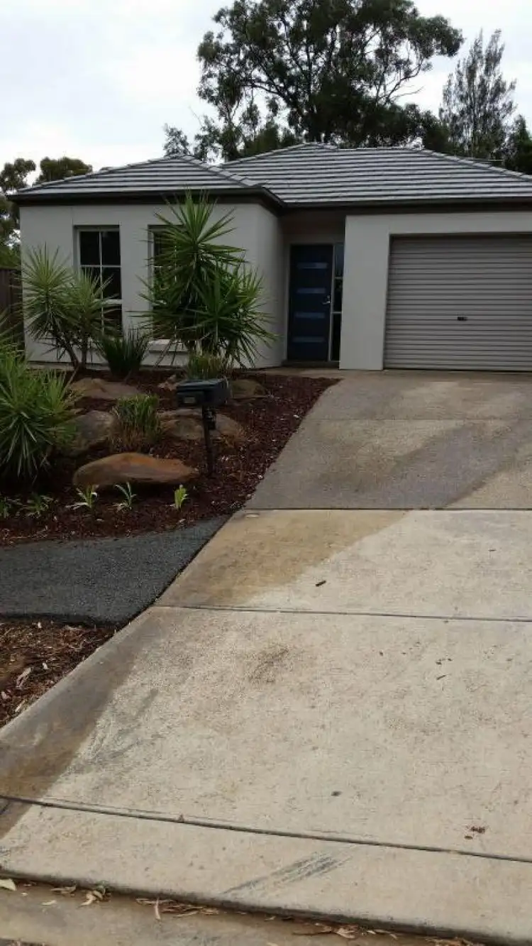 Second view of Homely house listing, 33 Barnett Ave, St Marys SA 5042