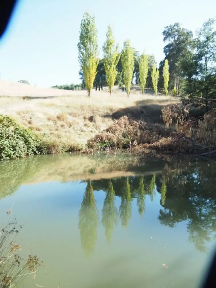 Fourth view of Homely rural property listing, 142 Red Hill Road, Beechworth VIC 3747