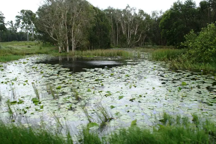 Fourth view of Homely rural property listing, Lot 142 Dimond Road, Beaver Rock QLD 4650