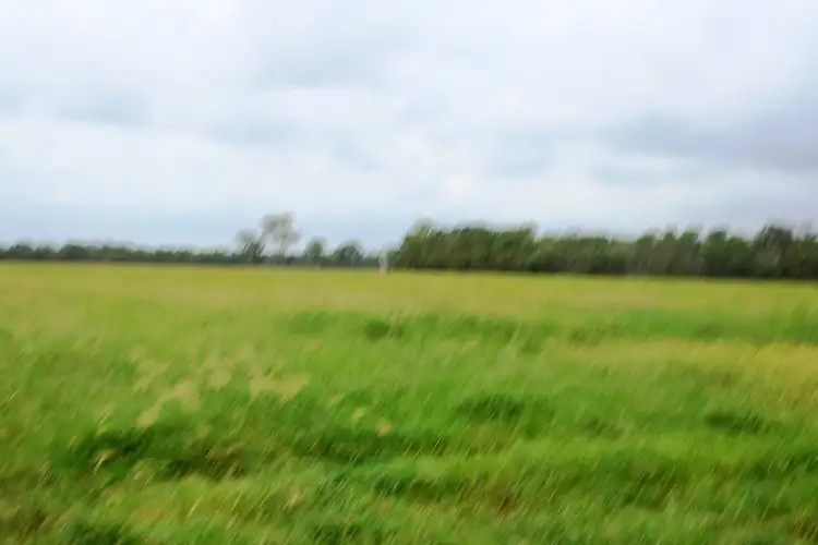 Sixth view of Homely rural property listing, Lot 142 Dimond Road, Beaver Rock QLD 4650