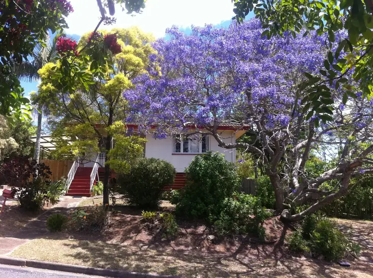 15 Patella Street, Mansfield QLD 4122