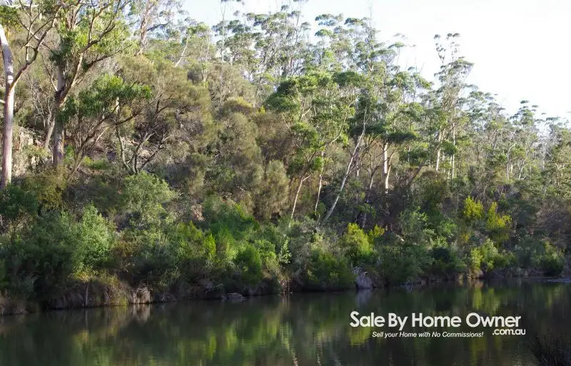 Main view of Homely rural property listing, 10503 Tasman Highway, Little Swanport TAS 7190