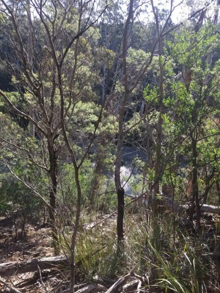 Second view of Homely rural property listing, 10503 Tasman Highway, Little Swanport TAS 7190