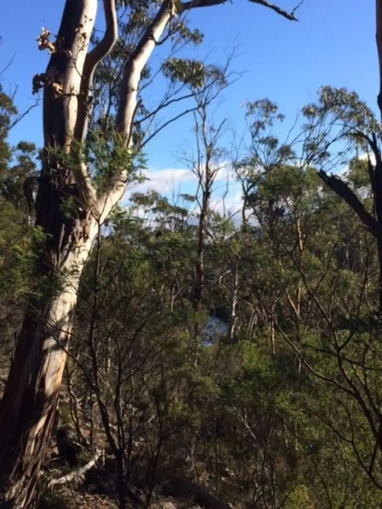 Third view of Homely rural property listing, 10503 Tasman Highway, Little Swanport TAS 7190