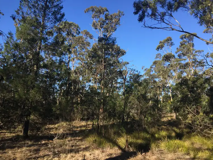 Fourth view of Homely rural property listing, 10503 Tasman Highway, Little Swanport TAS 7190