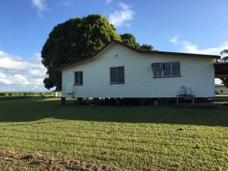 Fifth view of Homely rural property listing, 573 Halifax Road, Foresthome QLD 4850