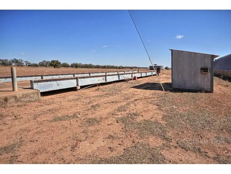 Third view of Homely rural property listing, . Kirrawah, Narromine NSW 2821