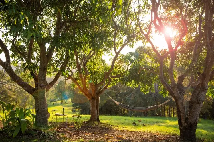 Seventh view of Homely house listing, 99 Sunshine Road, Wolvi QLD 4570