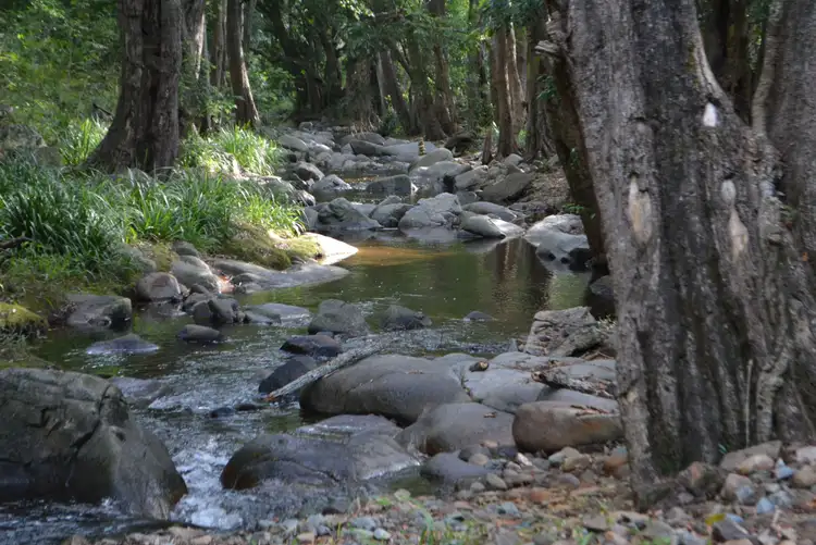 Third view of Homely rural property listing, 111 Broken Bridge Rd, Conondale QLD 4552