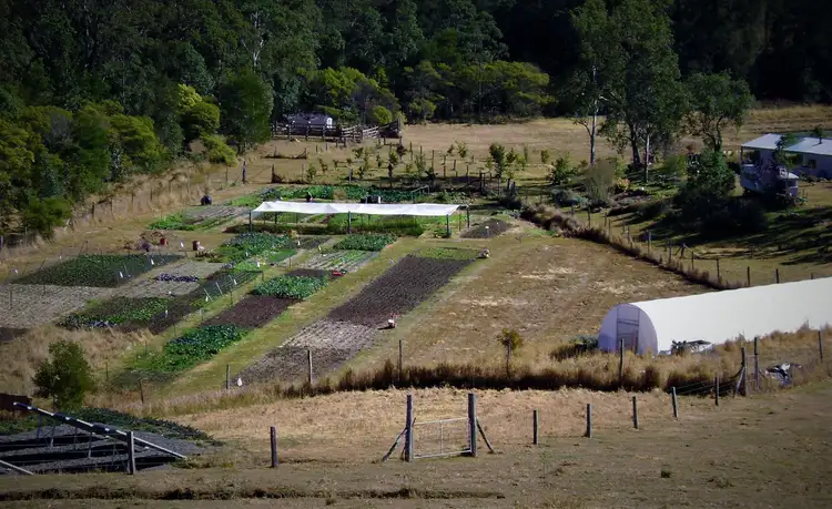 Fifth view of Homely rural property listing, 111 Broken Bridge Rd, Conondale QLD 4552