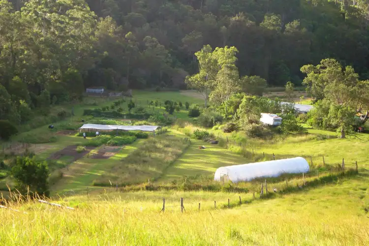 Sixth view of Homely rural property listing, 111 Broken Bridge Rd, Conondale QLD 4552