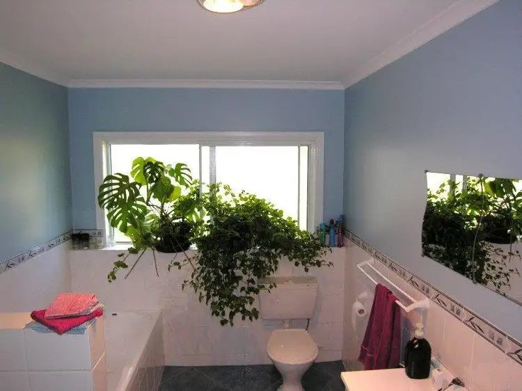 Second view of Homely house listing, 8241 Channel Highway, Cradoc TAS 7109