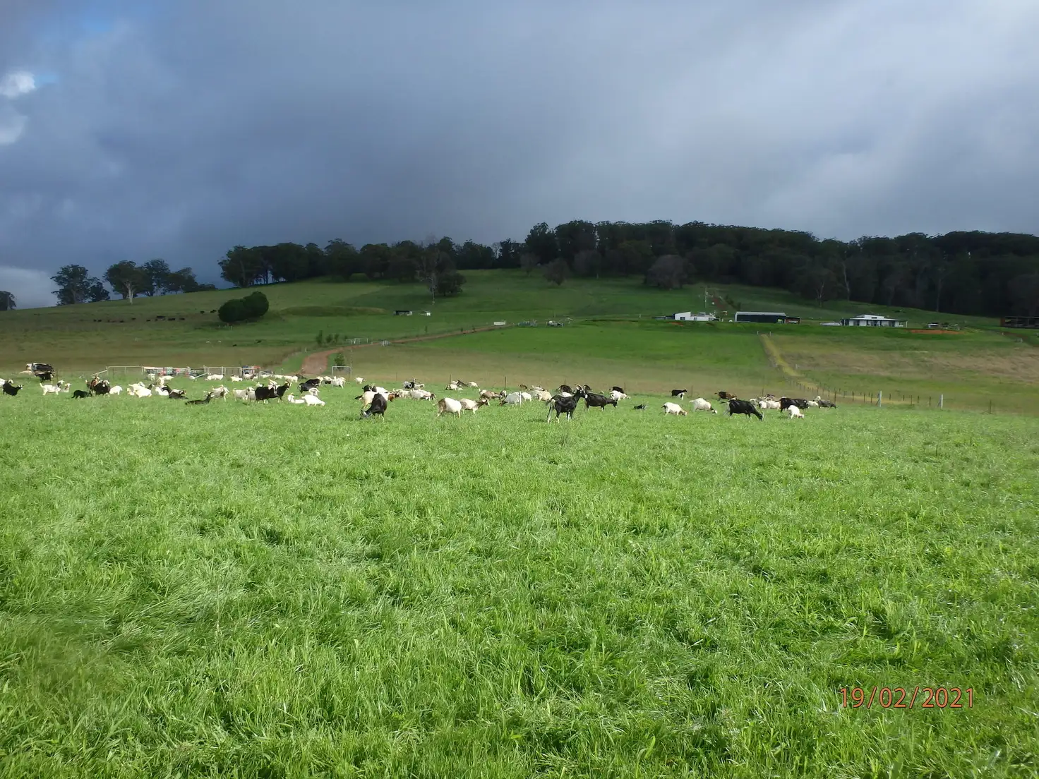 Main view of Homely rural property listing, 7721 Thunderbolts Way, Nowendoc NSW 2354