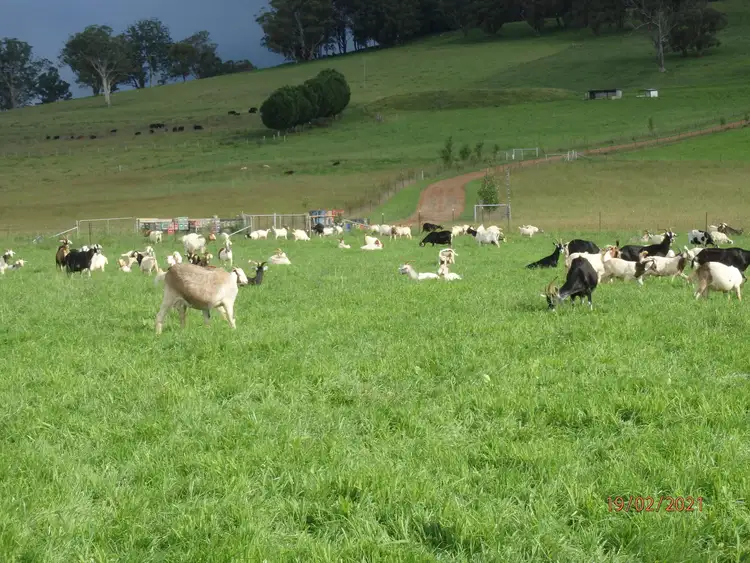 Sixth view of Homely rural property listing, 7721 Thunderbolts Way, Nowendoc NSW 2354