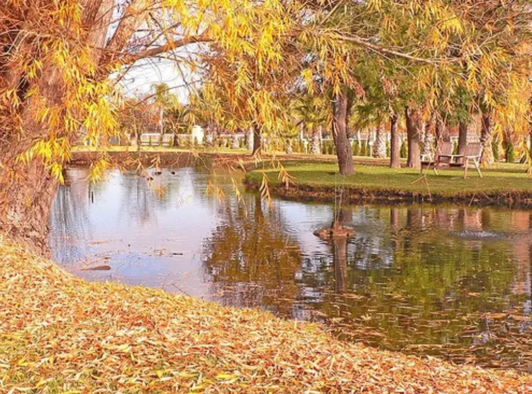 Second view of Homely land listing, 239 Gladstone Street, Mudgee NSW 2850