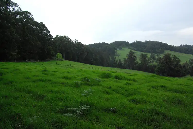 Fourth view of Homely land listing, Lot 12 Schultz Road, Billys Creek NSW 2453
