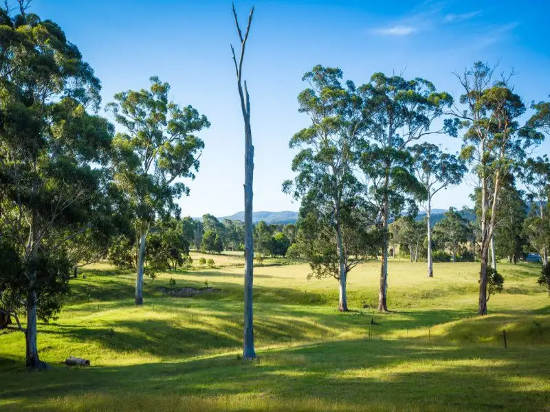Main view of Homely land listing, LOT 6, 13 Millingandi Road, Millingandi NSW 2549