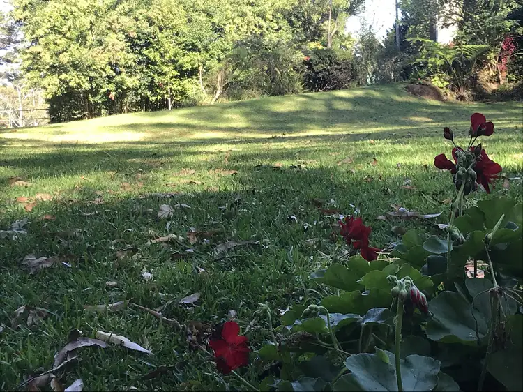 39 Knoll Road, Tamborine Mountain QLD 4272