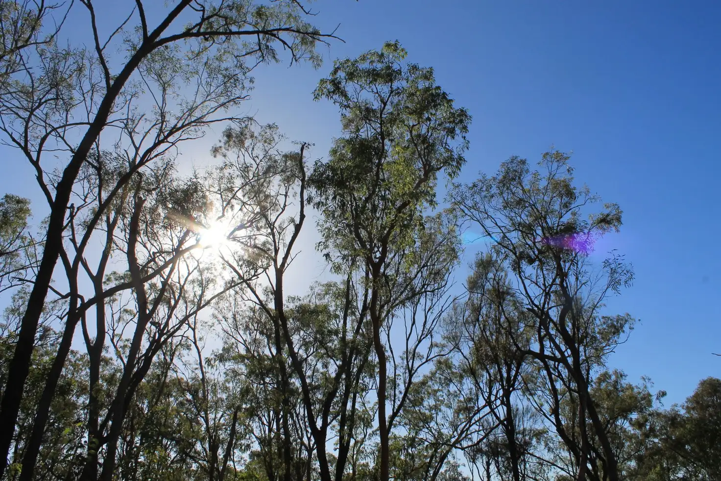 Main view of Homely land listing, 1461 Proston Boondooma Road, Coverty QLD 4613