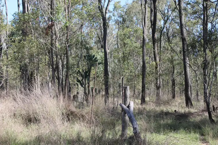 Fourth view of Homely land listing, 1461 Proston Boondooma Road, Coverty QLD 4613