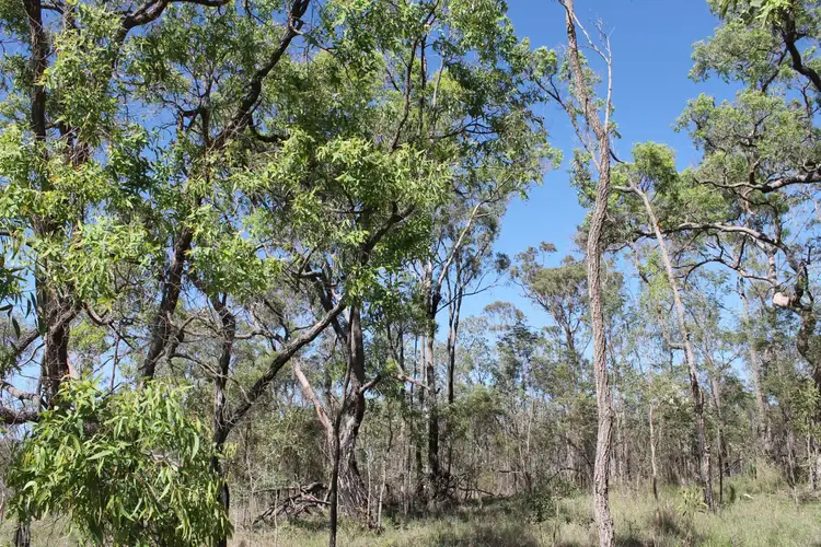 Sixth view of Homely land listing, 1461 Proston Boondooma Road, Coverty QLD 4613