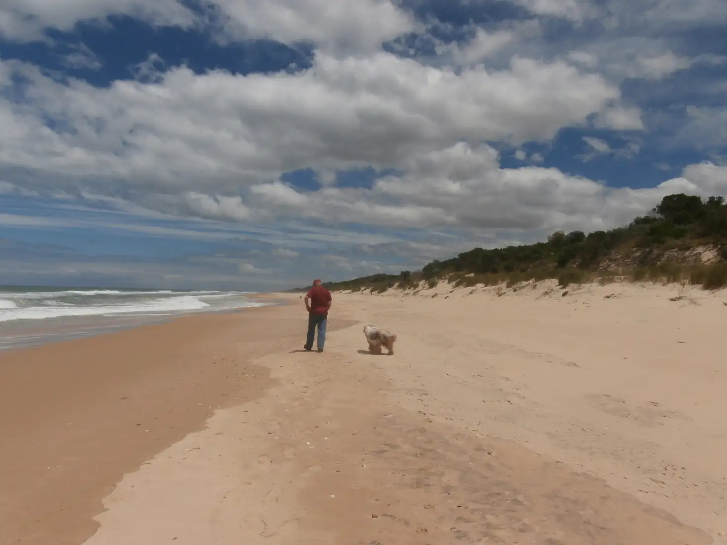 Main view of Homely land listing, 26 Panorama Drive, Woodside Beach VIC 3874
