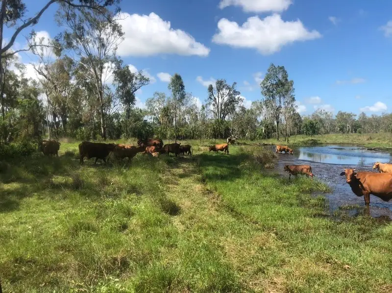 Main view of Homely rural property listing, 422 Lake Mary Road, Lake Mary QLD 4703