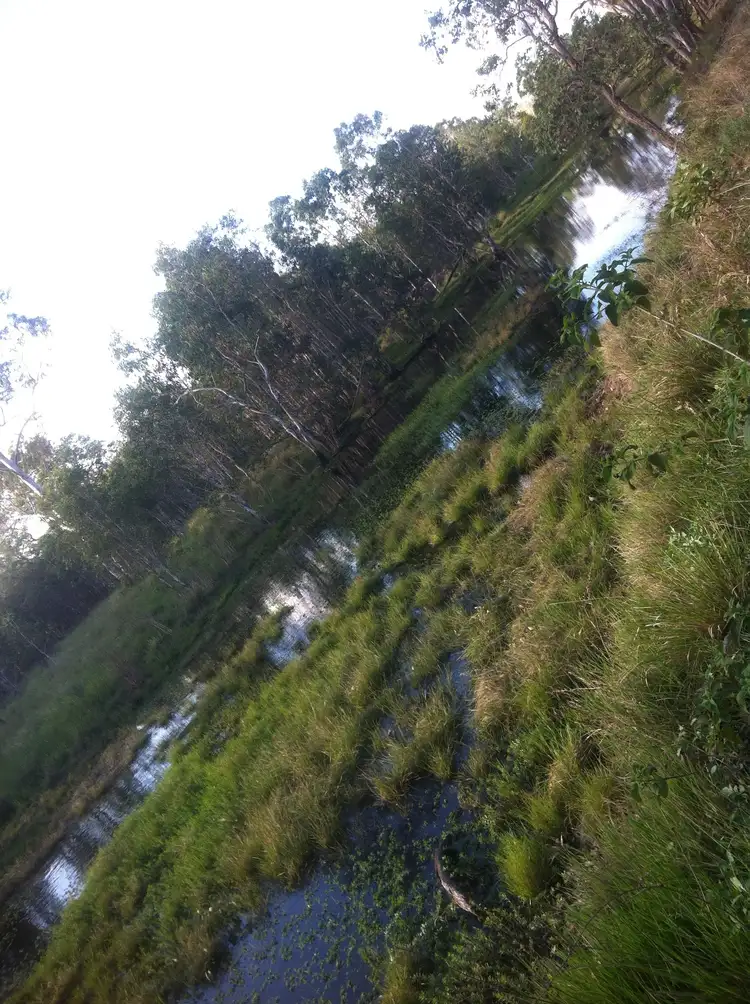Fifth view of Homely rural property listing, 422 Lake Mary Road, Lake Mary QLD 4703