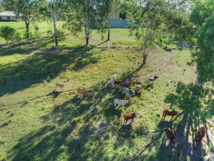 Seventh view of Homely house listing, Address available on request