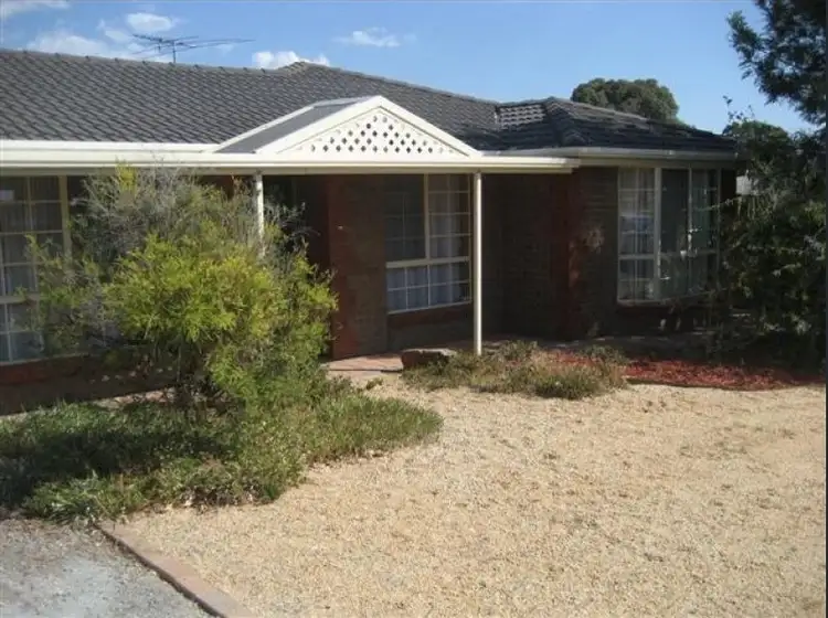 20 Potter Drive