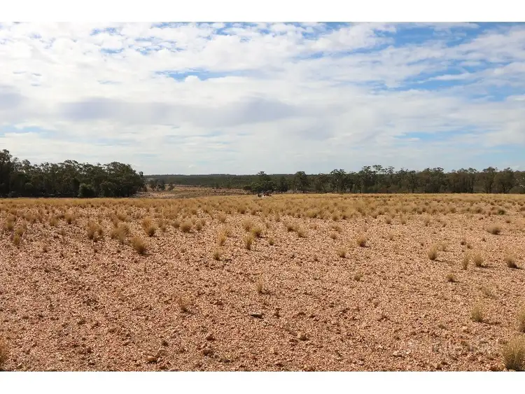 Third view of Homely rural property listing, 468 Emu Valley, Tullamore NSW 2874