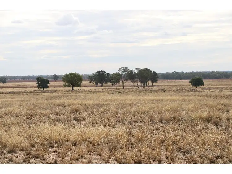 Fourth view of Homely rural property listing, 468 Emu Valley, Tullamore NSW 2874