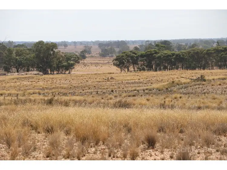 Fifth view of Homely rural property listing, 468 Emu Valley, Tullamore NSW 2874