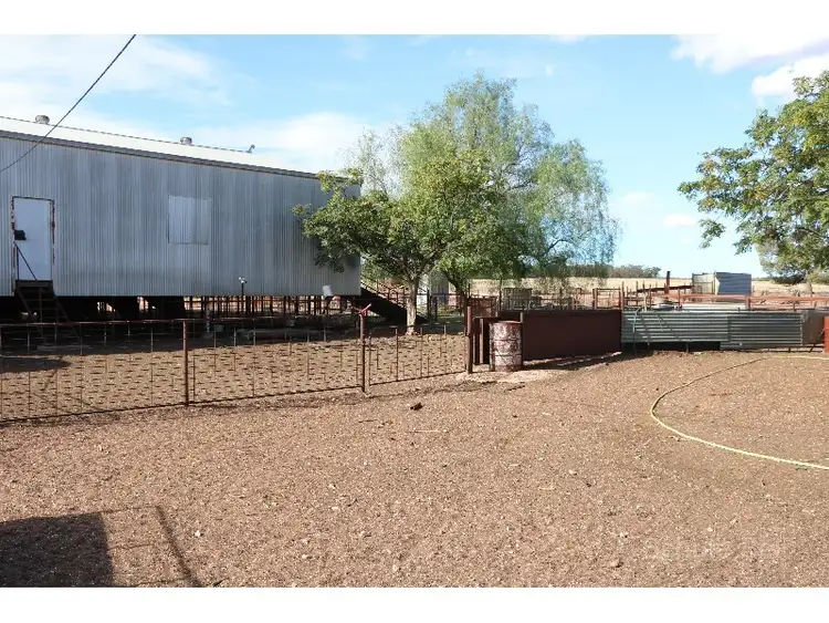 Seventh view of Homely rural property listing, 468 Emu Valley, Tullamore NSW 2874